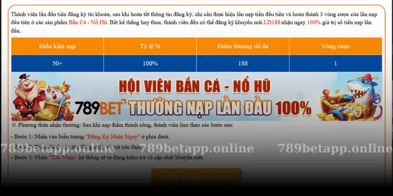 Điều kiện và điều khoản áp dụng