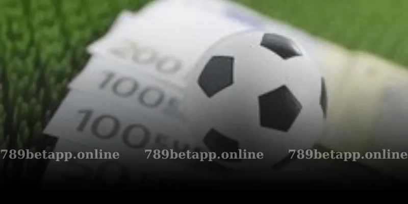 Giới thiệu tổng quan về thể thao 789bet